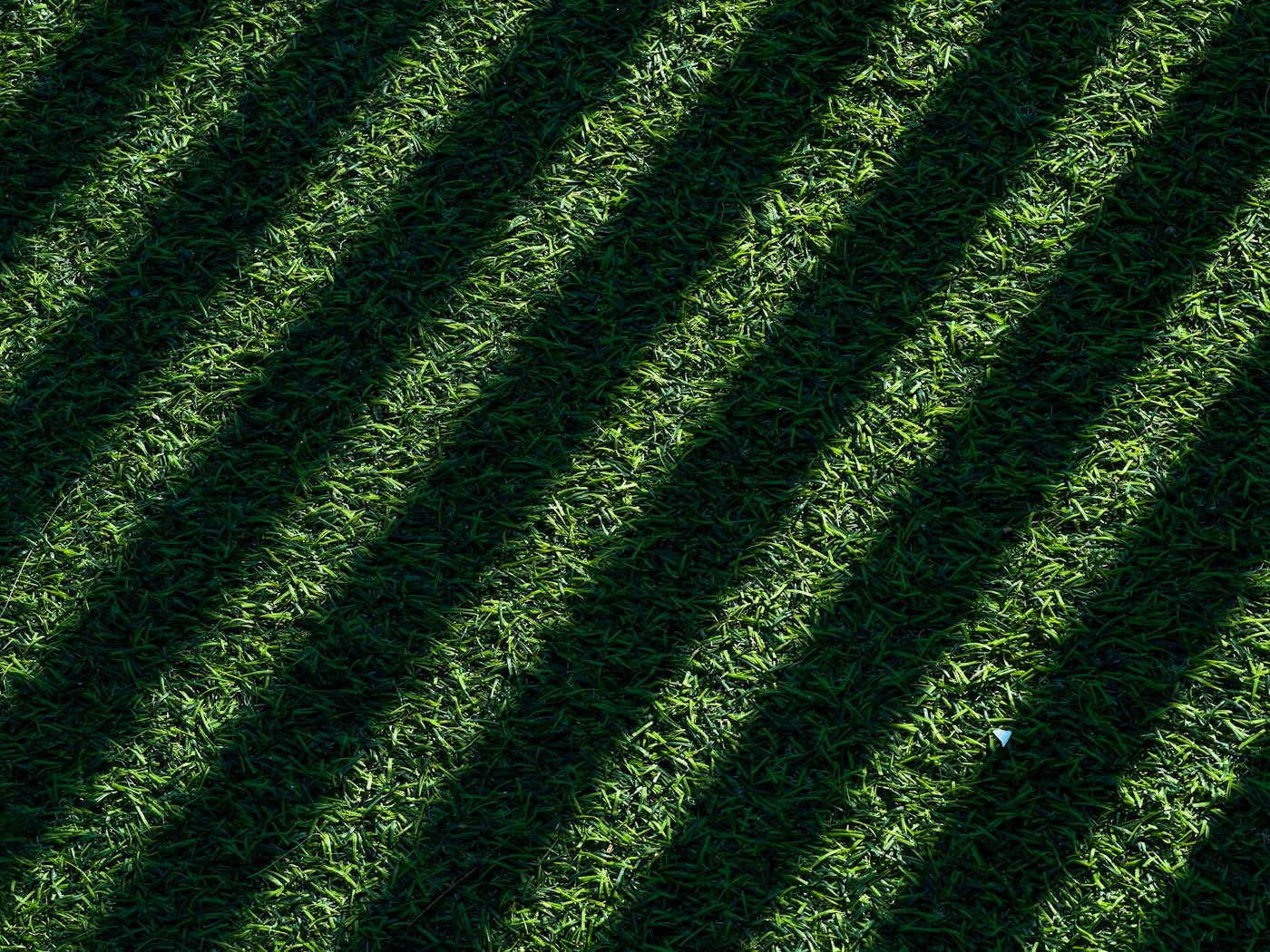 Late-afternoon shadows striping a freshly cut green lawn.